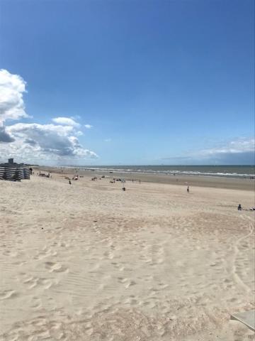 Apollo 1 Διαμέρισμα Nieuwpoort Εξωτερικό φωτογραφία